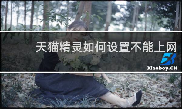 天猫精灵如何设置不能上网