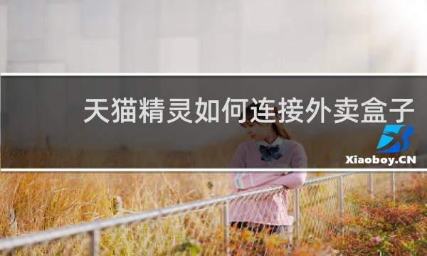 天貓精靈如何連接外賣盒子