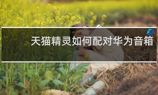 天猫精灵如何配对华为音箱