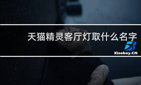 天猫精灵客厅灯取什么名字