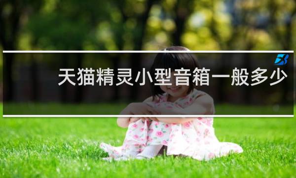 天猫精灵小型音箱一般多少