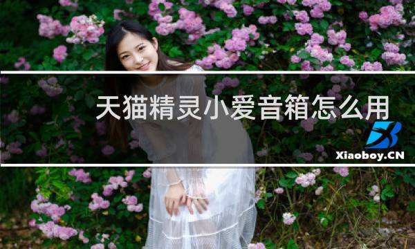 天猫精灵小爱音箱怎么用