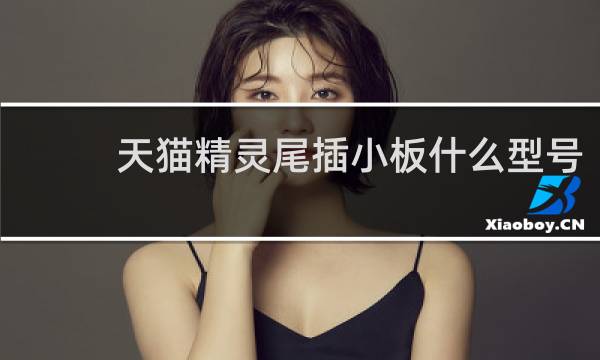 天猫精灵尾插小板什么型号