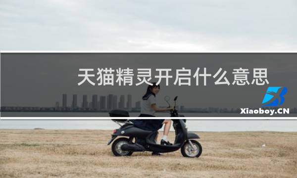 天猫精灵开启什么意思