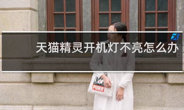 天猫精灵开机灯不亮怎么办