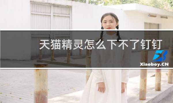 天猫精灵怎么下不了钉钉