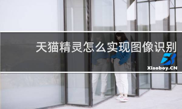 天猫精灵怎么实现图像识别
