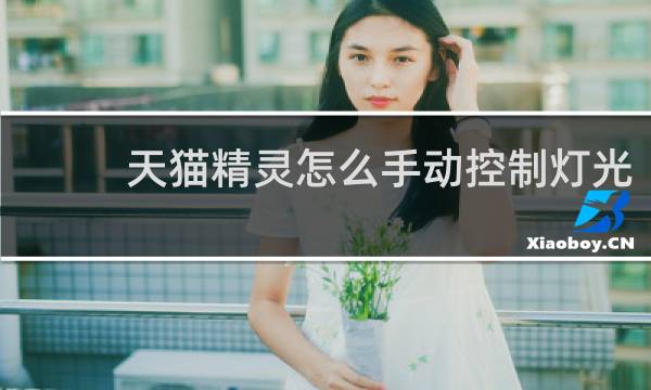 天猫精灵怎么手动控制灯光