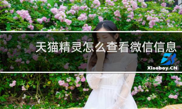 天猫精灵怎么查看微信信息