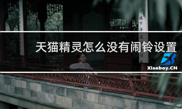 天猫精灵怎么没有闹铃设置