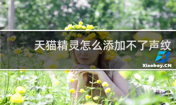 天猫精灵怎么添加不了声纹