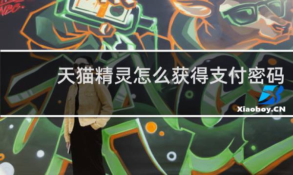 天猫精灵怎么获得支付密码