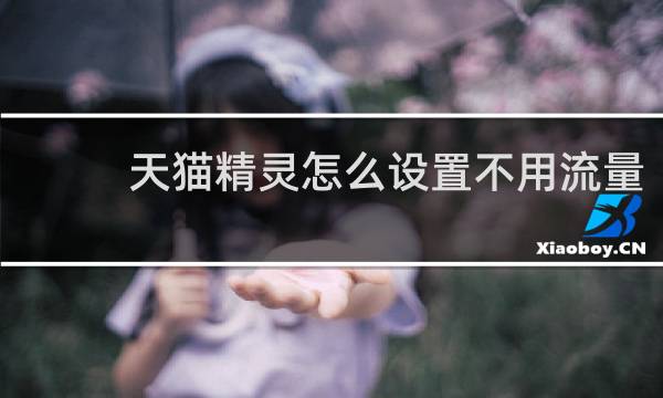 天猫精灵怎么设置不用流量