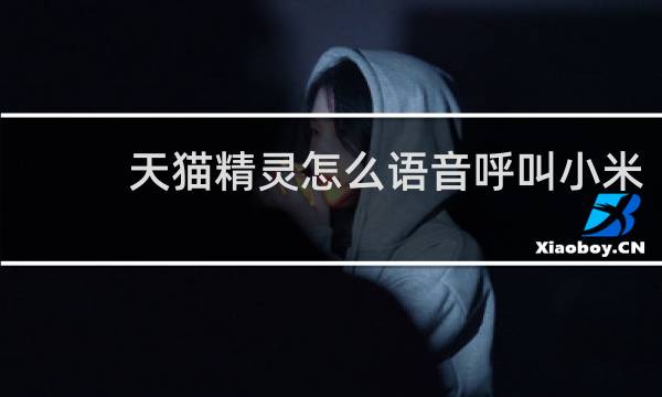 天猫精灵怎么语音呼叫小米