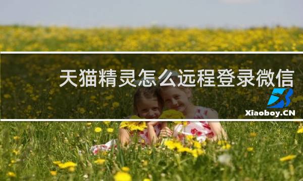 天猫精灵怎么远程登录微信