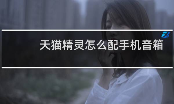 天猫精灵怎么配手机音箱