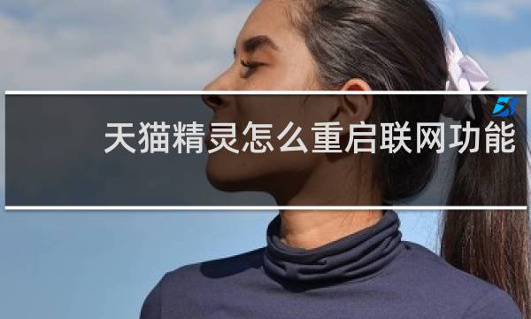 天猫精灵怎么重启联网功能