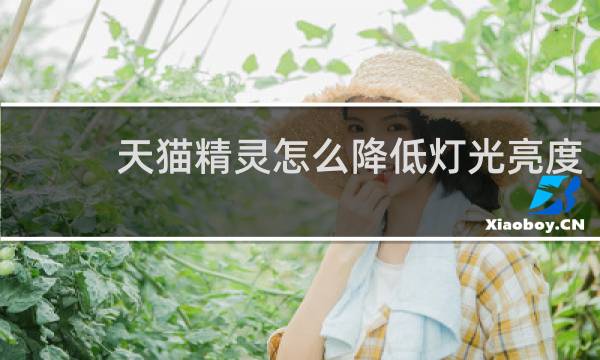 天猫精灵怎么降低灯光亮度