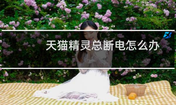 天猫精灵总断电怎么办