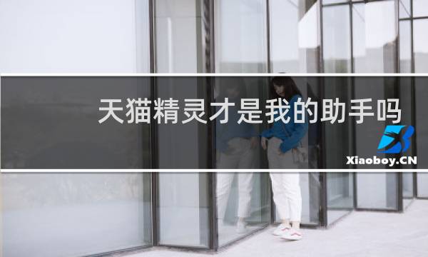 天猫精灵才是我的助手吗