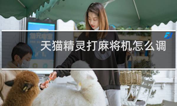 天猫精灵打麻将机怎么调