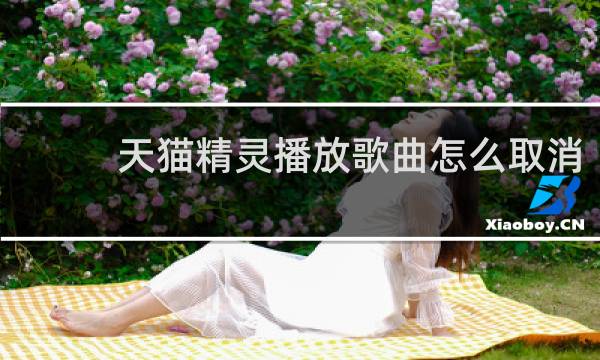 天貓精靈播放歌曲怎么取消