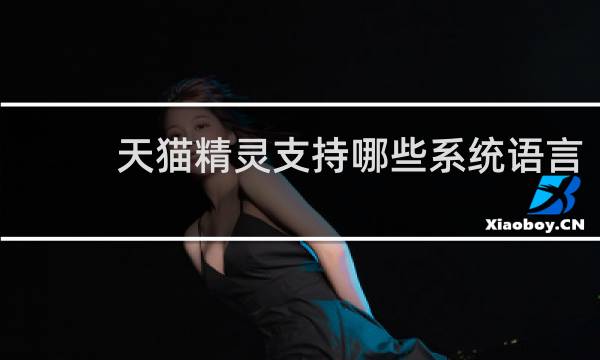 天猫精灵支持哪些系统语言