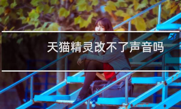 天猫精灵改不了声音吗