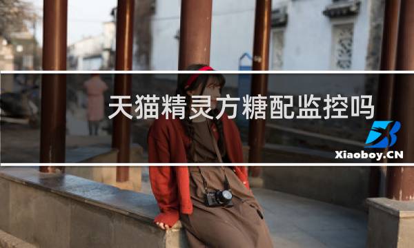 天猫精灵方糖配监控吗