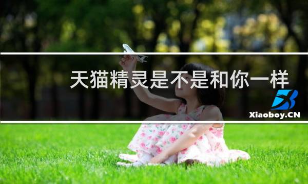 天貓精靈是不是和你一樣