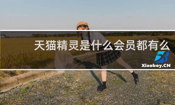 天猫精灵是什么会员都有么