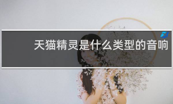 天貓精靈是什么類型的音響
