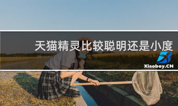 天猫精灵比较聪明还是小度