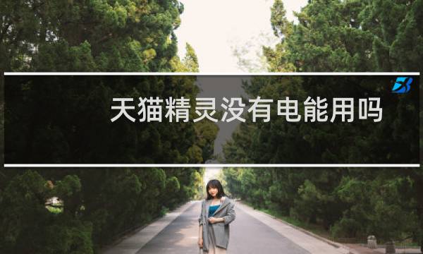 天猫精灵没有电能用吗