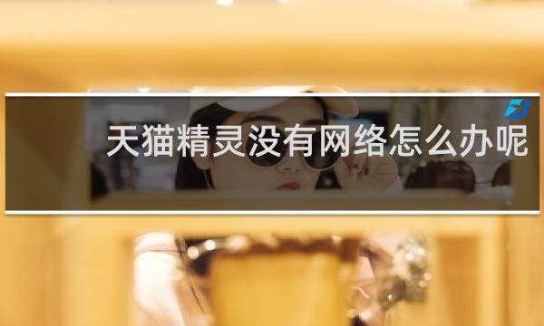天貓精靈沒有網絡怎么辦呢