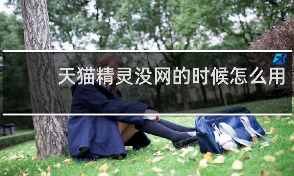 天猫精灵没网的时候怎么用