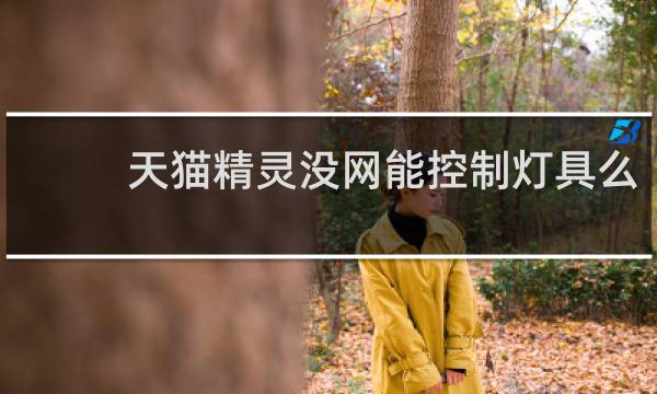天猫精灵没网能控制灯具么