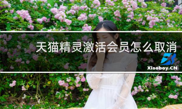 天猫精灵激活会员怎么取消