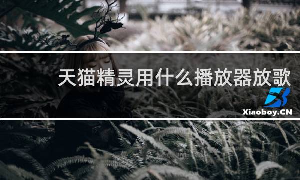 天猫精灵用什么播放器放歌
