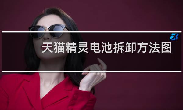 天猫精灵电池拆卸方法图