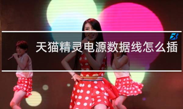 天猫精灵电源数据线怎么插