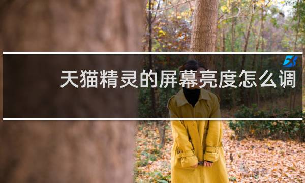 天猫精灵的屏幕亮度怎么调