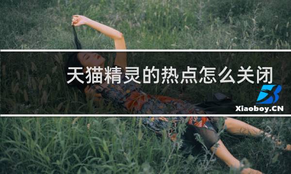 天猫精灵的热点怎么关闭