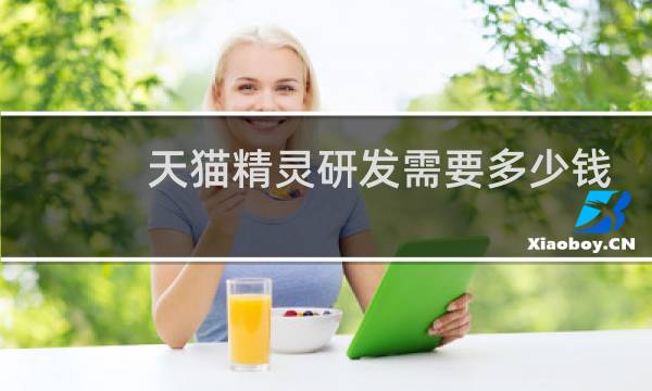 天猫精灵研发需要多少钱