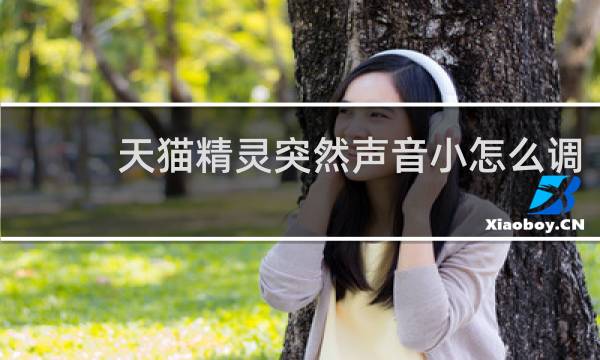 天猫精灵突然声音小怎么调