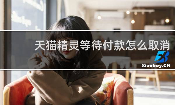 天猫精灵等待付款怎么取消