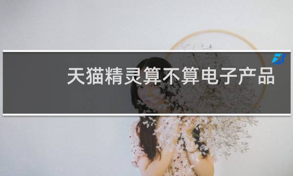 天猫精灵算不算电子产品