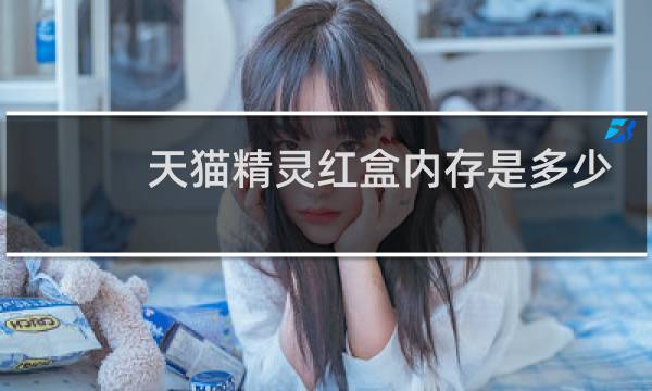 天猫精灵红盒内存是多少