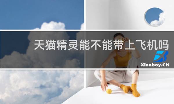 天猫精灵能不能带上飞机吗