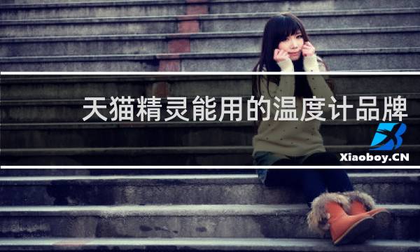 天猫精灵能用的温度计品牌